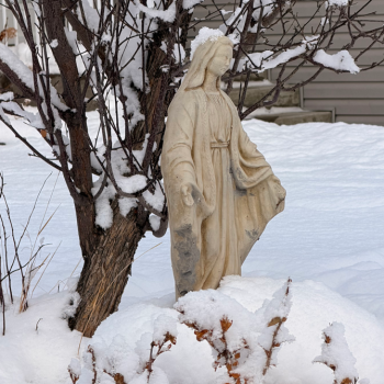 Parish Schedule — Advent Week II
