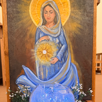 The Immaculate Conception of the Blessed Virgin Mary